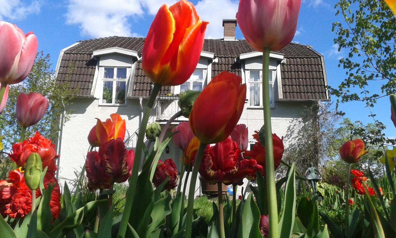 Wonderful Home Bodafors المظهر الخارجي الصورة